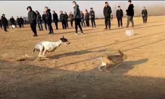 联播pro：法国发现新型新冠变异株IHU休闲区蓝鸢梦想 - Www.slyday.coM