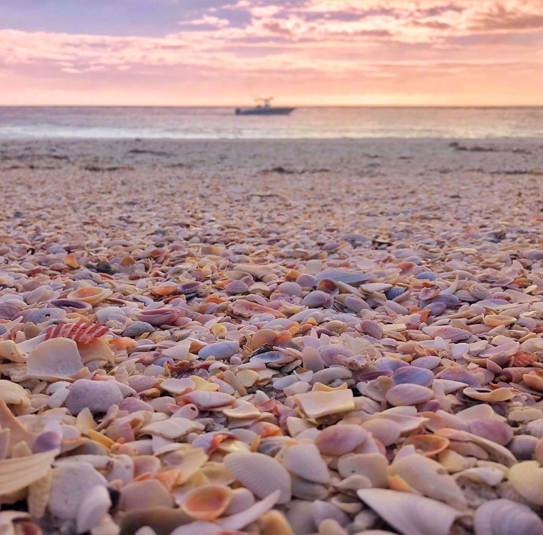贝壳沙滩,感觉好运撒了一地__财经头条
