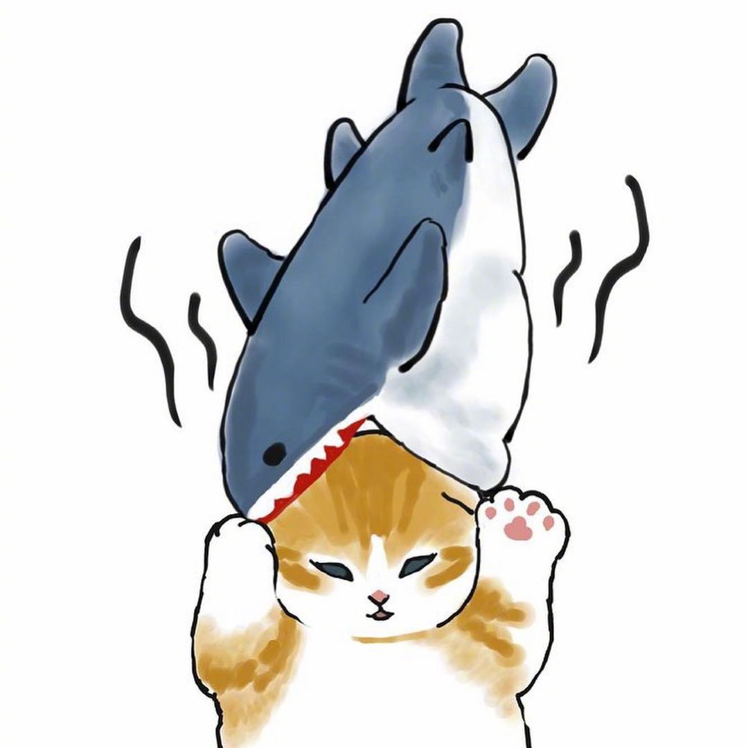鲨鱼 猫=?