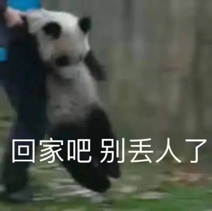 表情包 | 回家吧 别丢人了 拿图点赞、吱声__财经头条