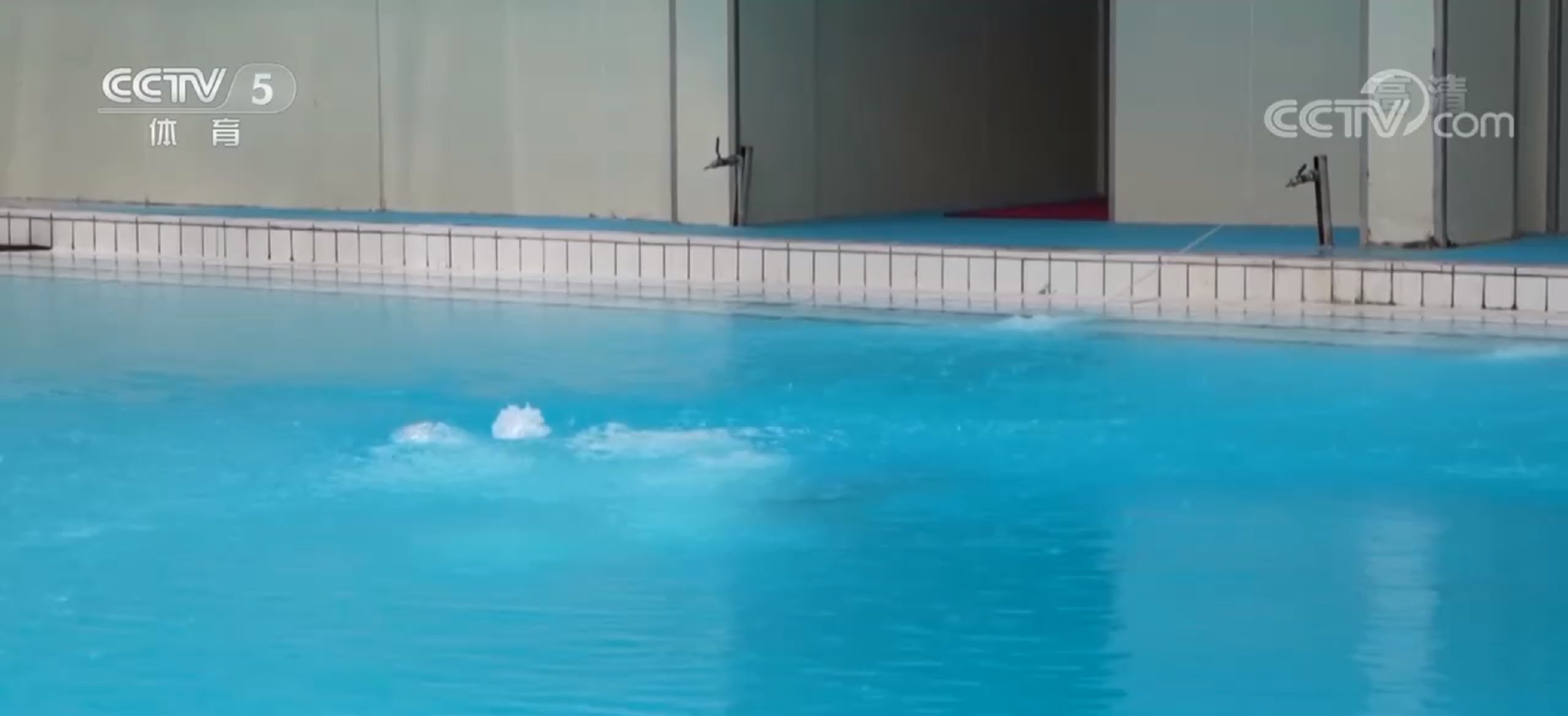 神仙打架!全红婵水花消失术斩获3满分,碾压张家齐陈芋汐夺冠休闲区蓝鸢梦想 - Www.slyday.coM 神仙打架!全红婵水花消失术斩获3满分,碾压张家齐陈芋汐夺冠休闲区蓝鸢梦想 - Www.slyday.coM