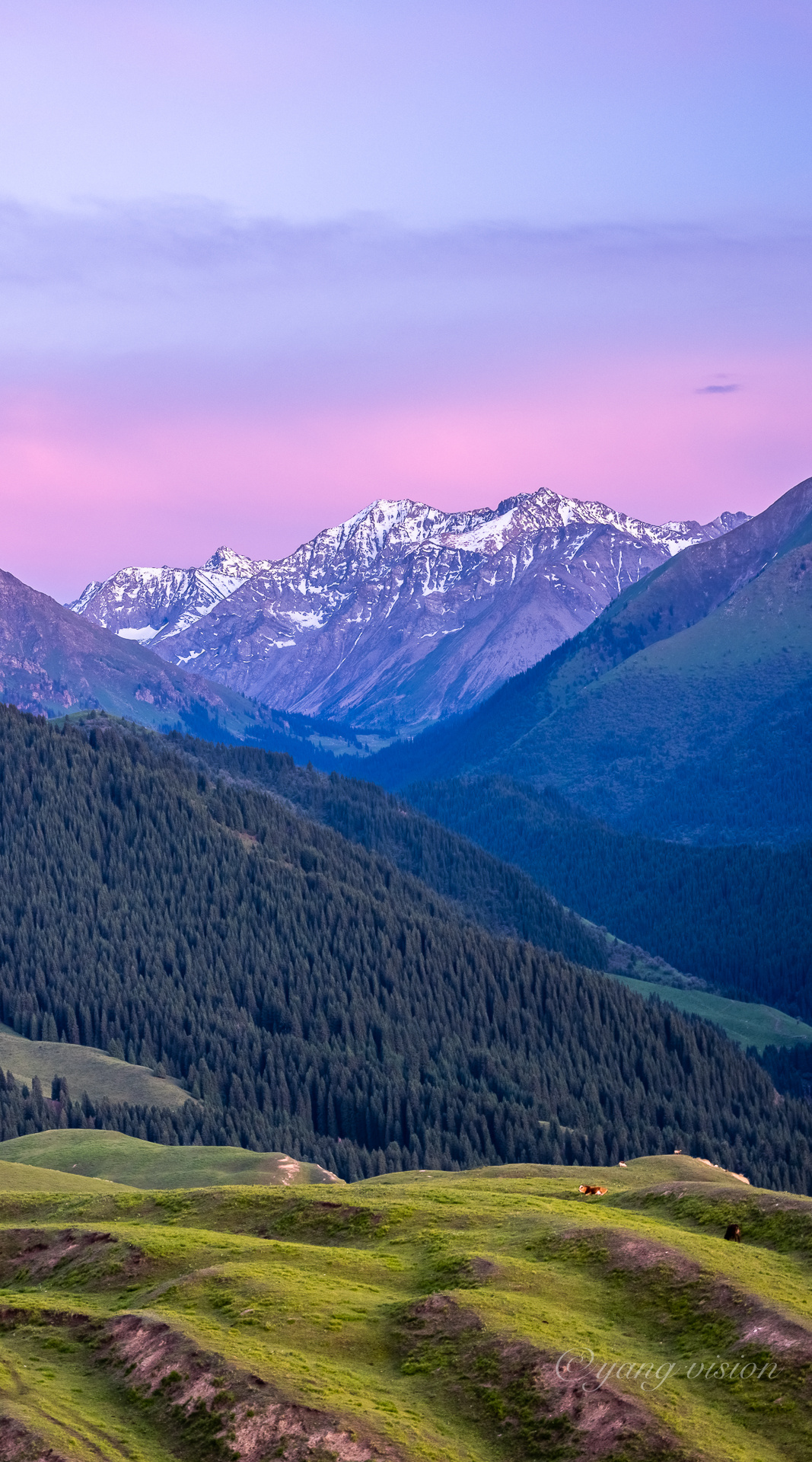 霞光中的琼库什台大草原_高清图集_新浪网
