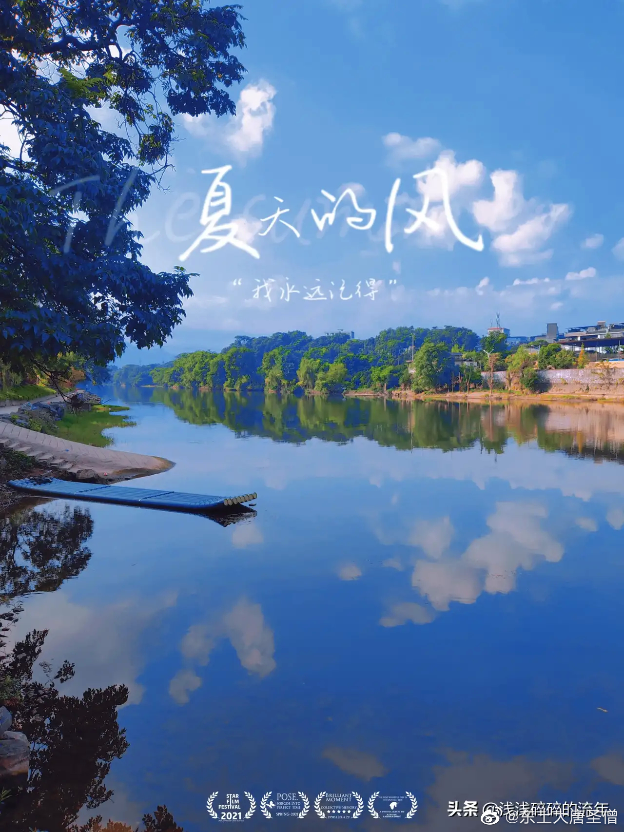 夏天的风 从东西南北吹来 又 吹向四面八方 吹过 不同的树梢……__财经头条