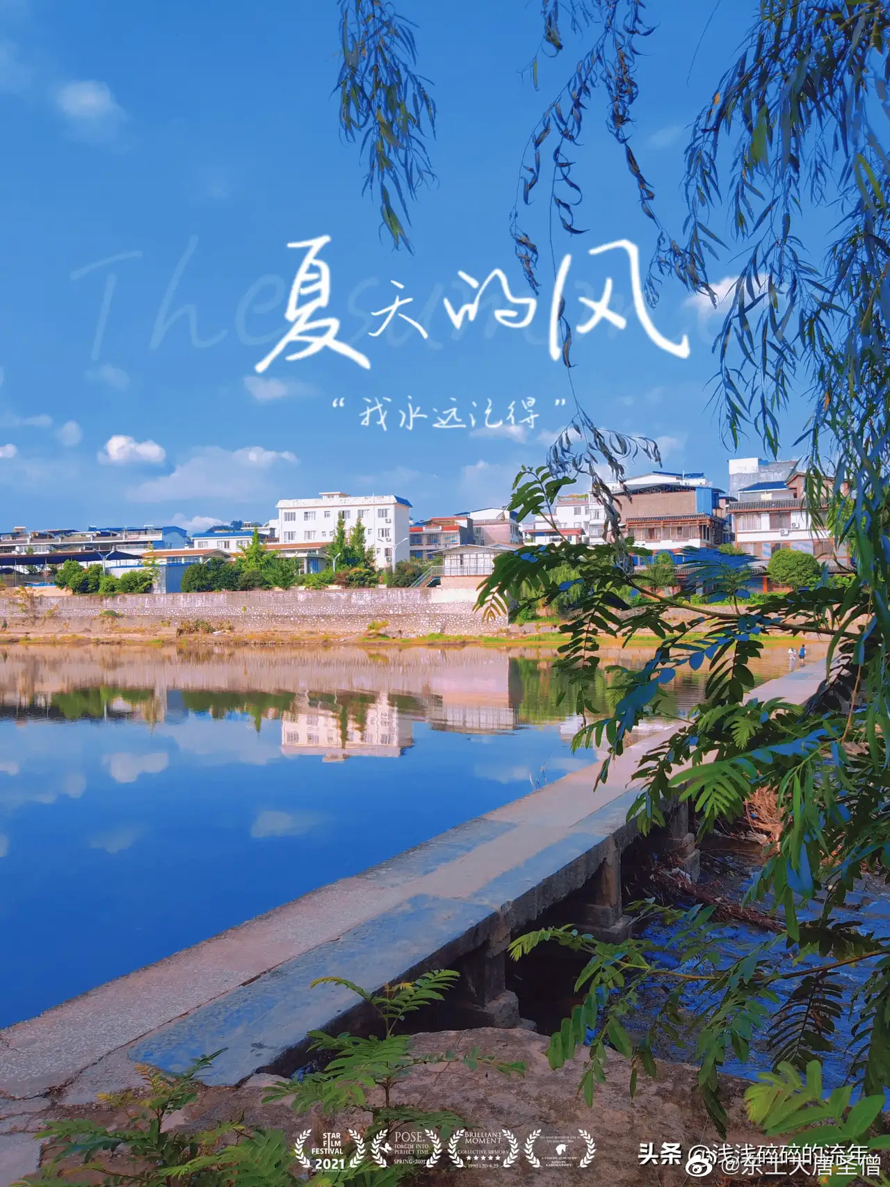 夏天的风 从东西南北吹来 又 吹向四面八方 吹过 不同的树梢……__财经头条