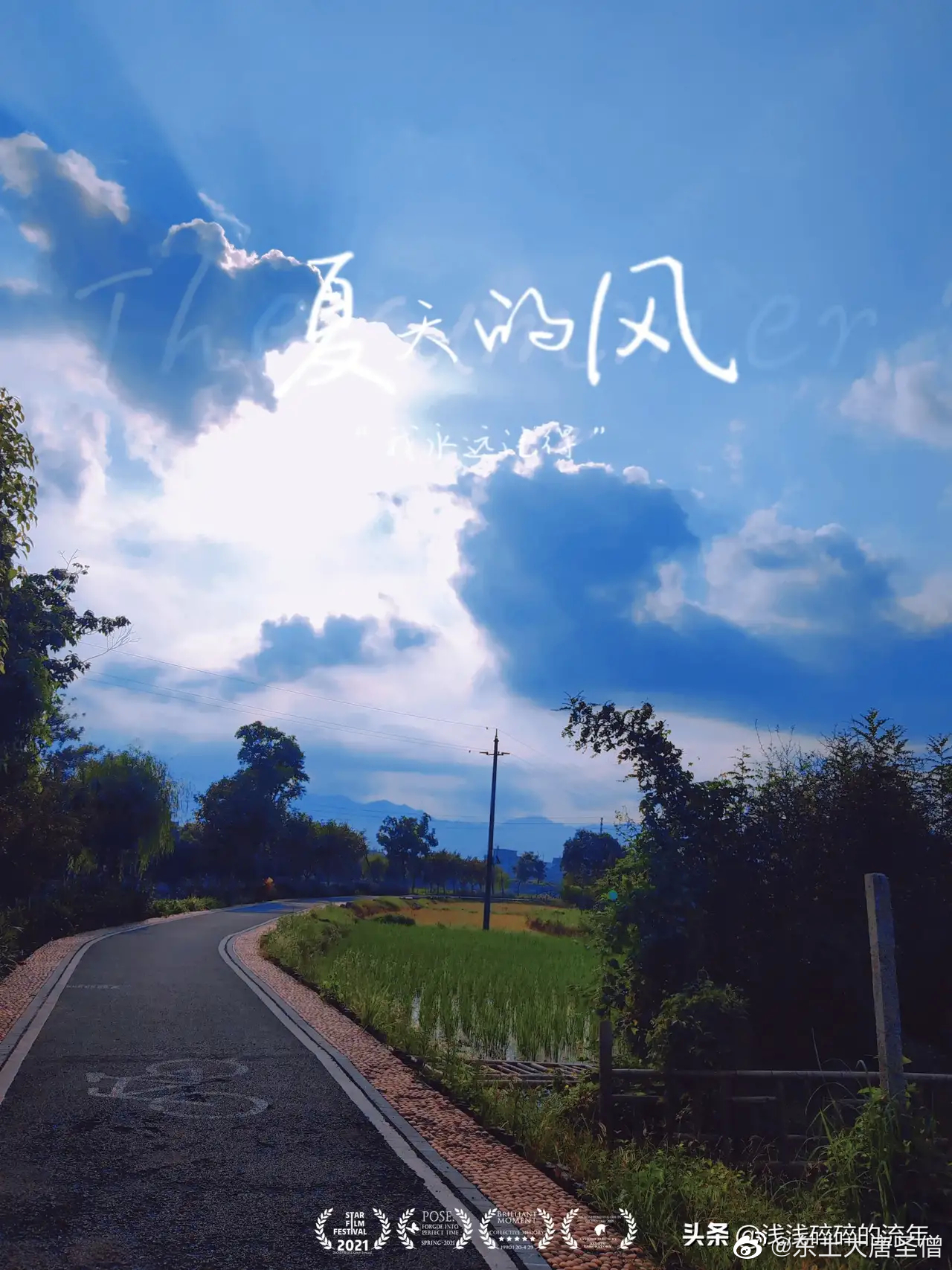 夏天的风 从东西南北吹来 又 吹向四面八方 吹过 不同的树梢……__财经头条