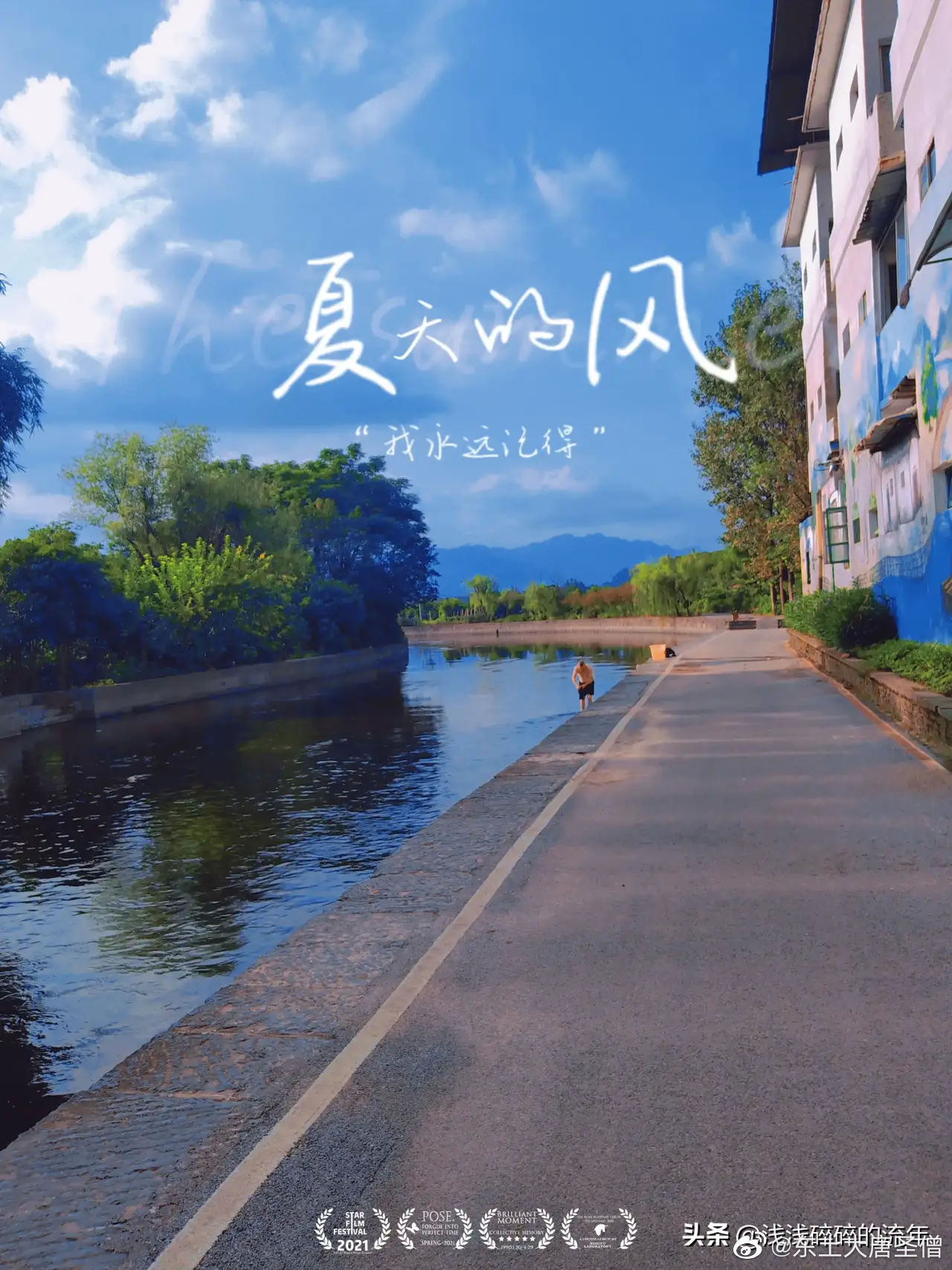 夏天的风 从东西南北吹来 又 吹向四面八方 吹过 不同的树梢……__财经头条