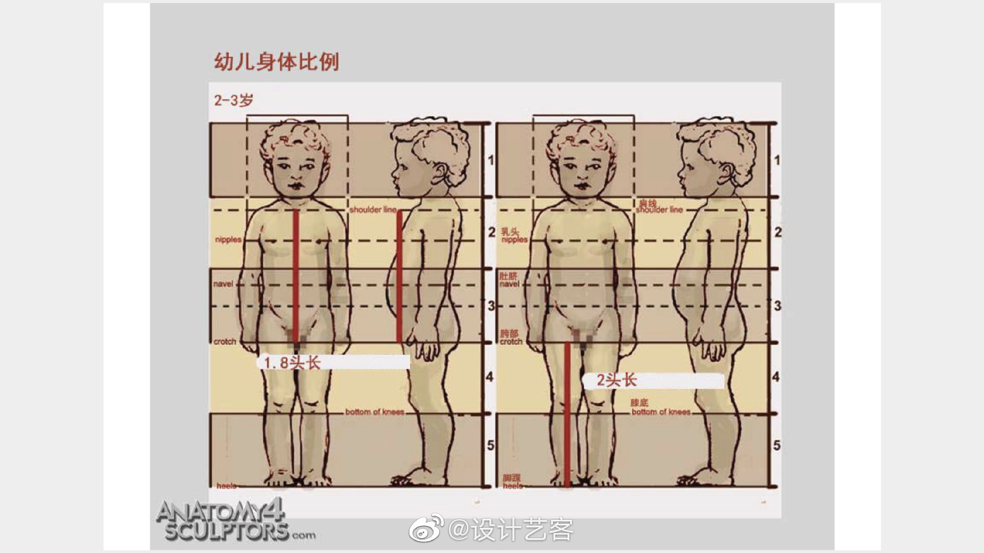 9绘画知识 | 不同年龄段标准人体尺度比例一览,也来测量一下你的身体