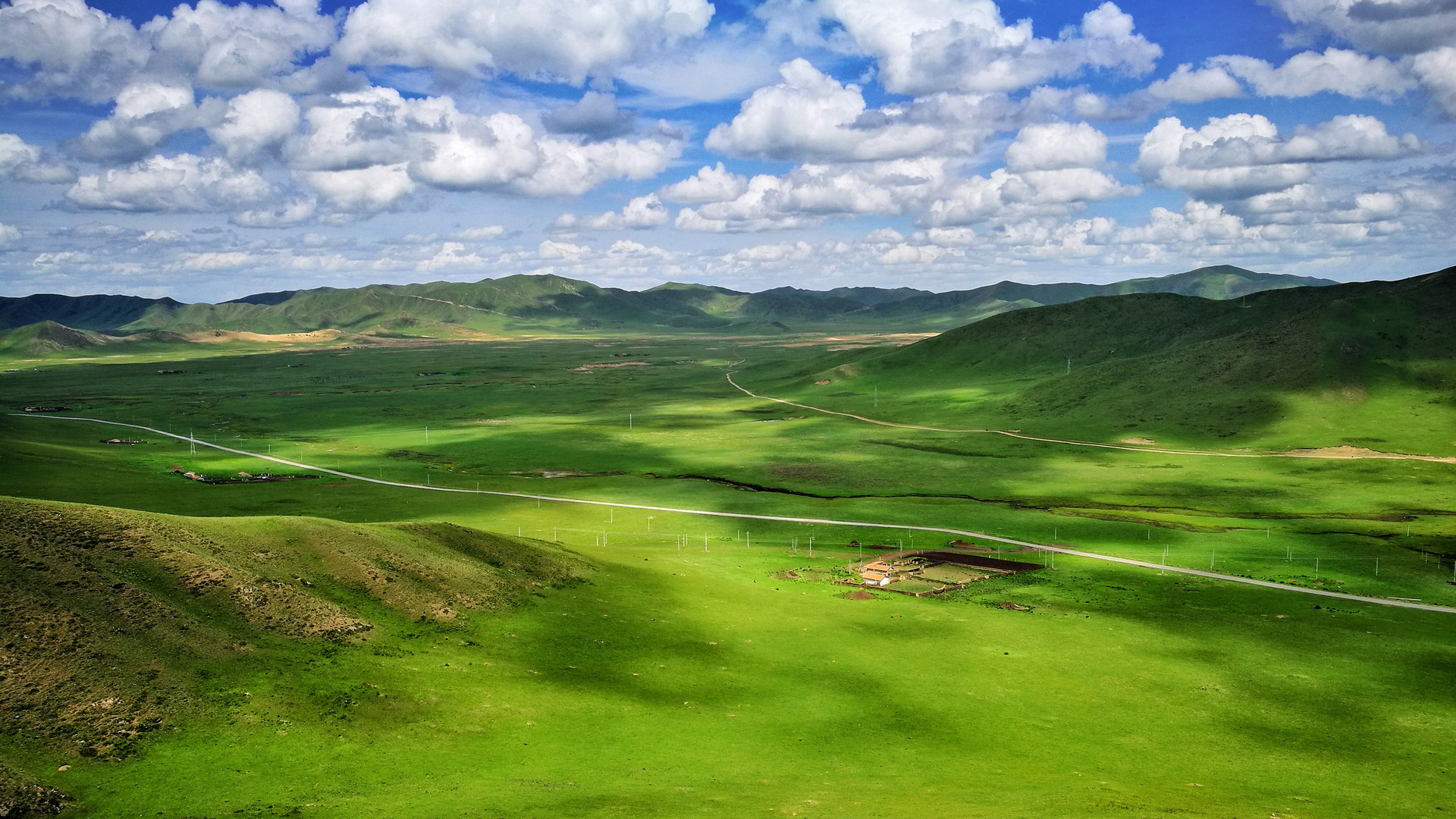 甘南草原,在夏秋时节,这里草长莺飞,野花烂漫,蝶飞蜂舞……__财经头条