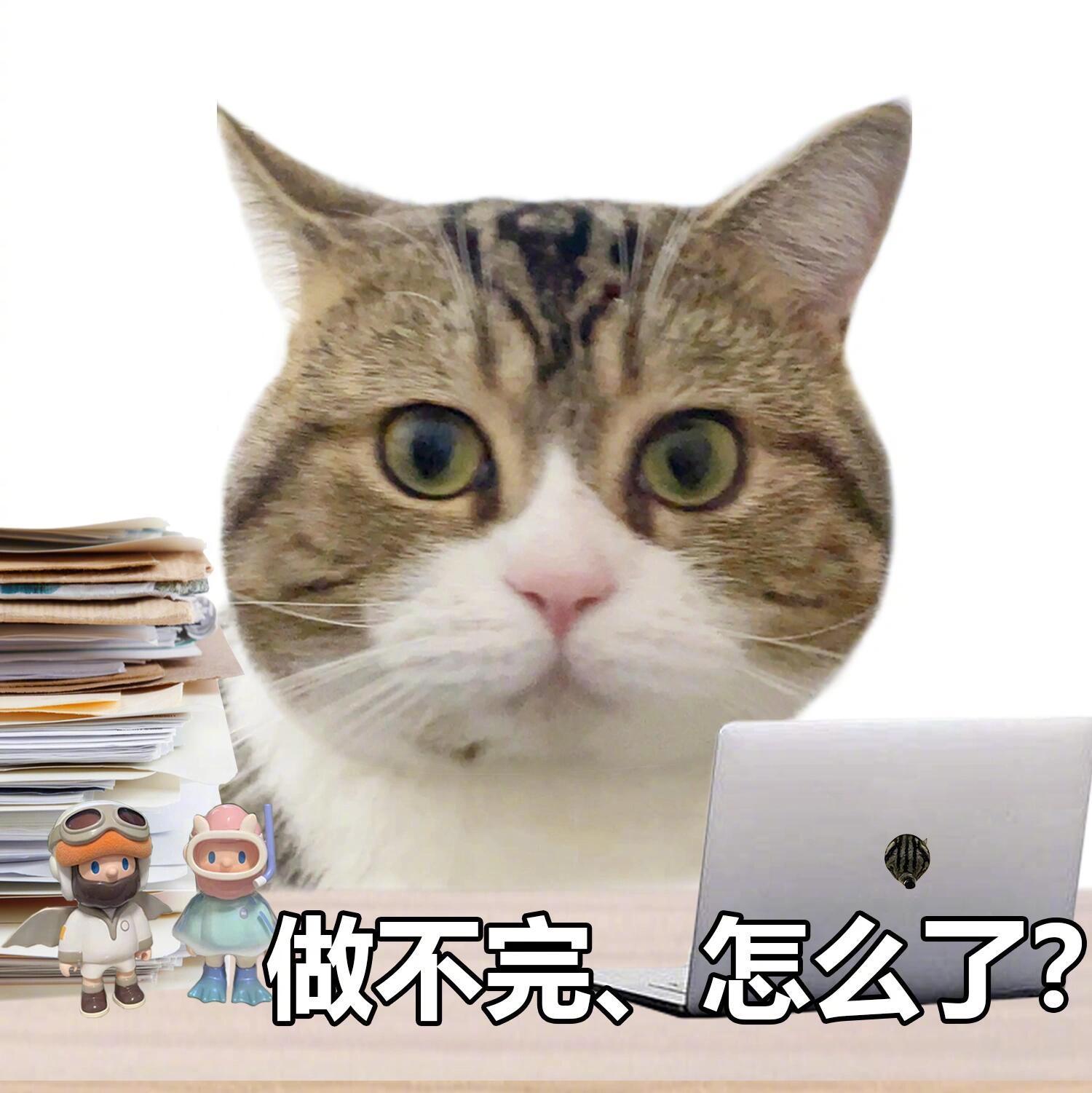 近期使用频率很高的聊天表情包