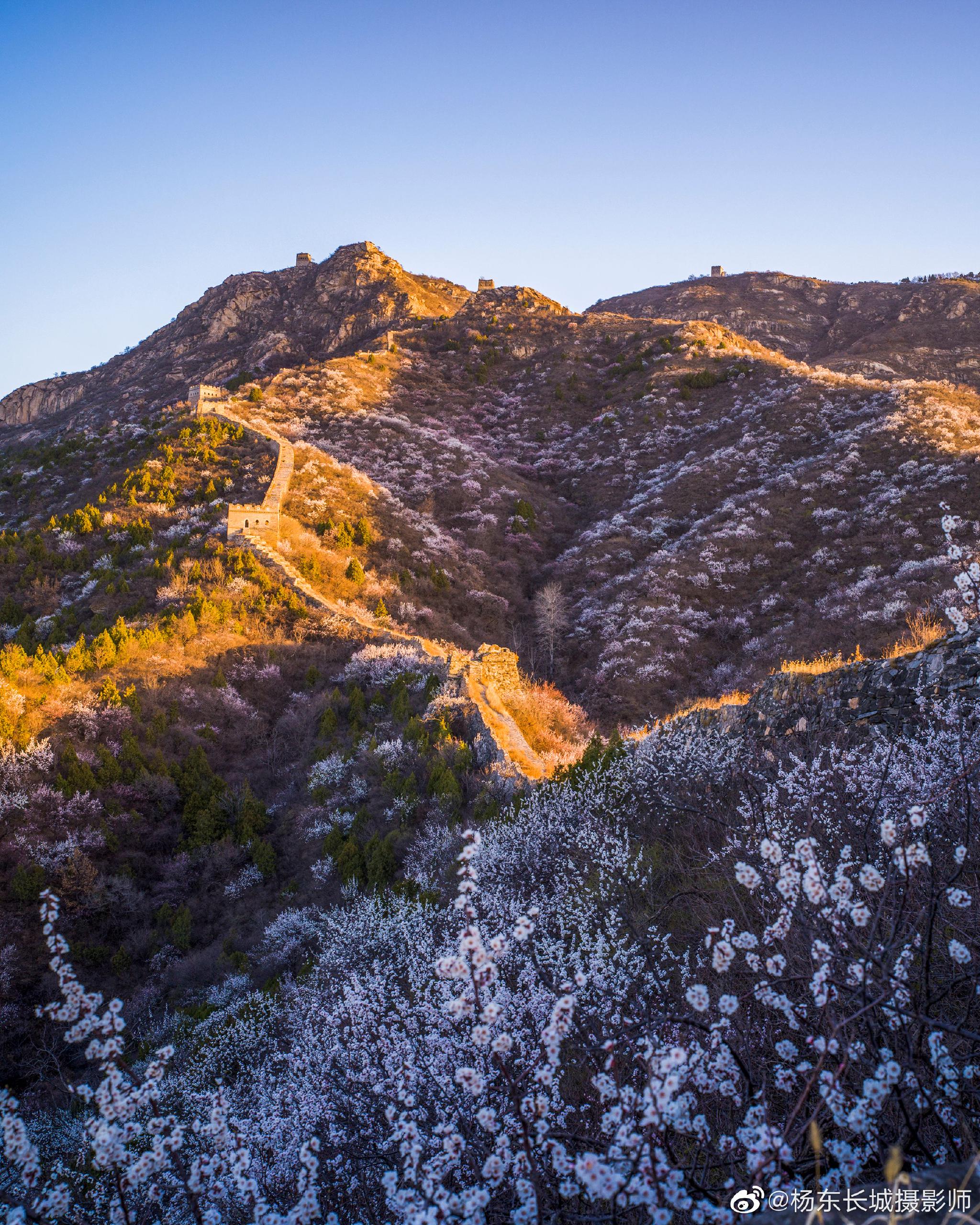 北京怀柔河防口长城日出晨光花海202341