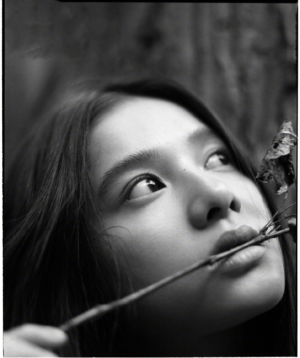 李蔓瑄72张婧仪|优雅写真