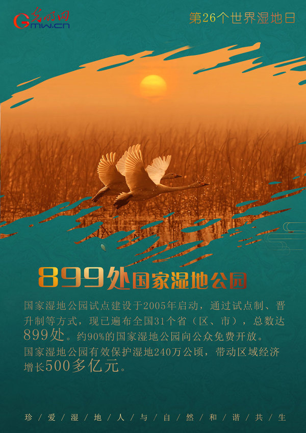 世界湿地日：守护“地球之肾” 我国已建立602处湿地保护区休闲区蓝鸢梦想 - Www.slyday.coM