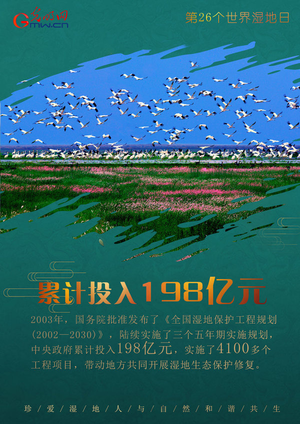 世界湿地日：守护“地球之肾” 我国已建立602处湿地保护区休闲区蓝鸢梦想 - Www.slyday.coM