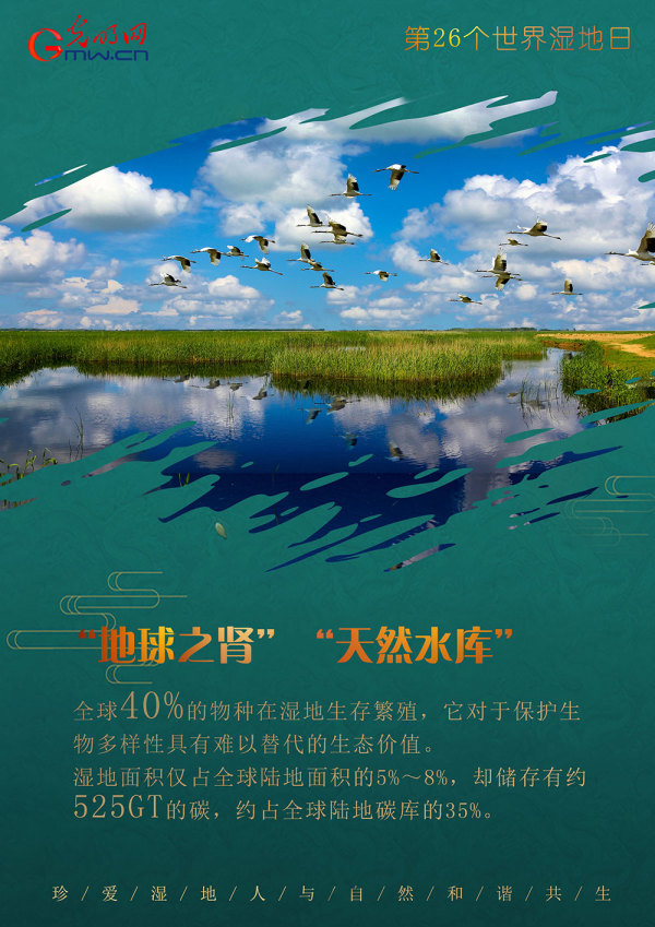 世界湿地日：守护“地球之肾” 我国已建立602处湿地保护区休闲区蓝鸢梦想 - Www.slyday.coM