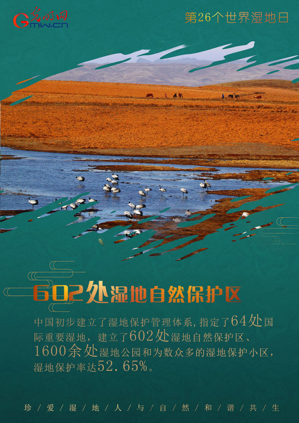 世界湿地日：守护“地球之肾” 我国已建立602处湿地保护区休闲区蓝鸢梦想 - Www.slyday.coM