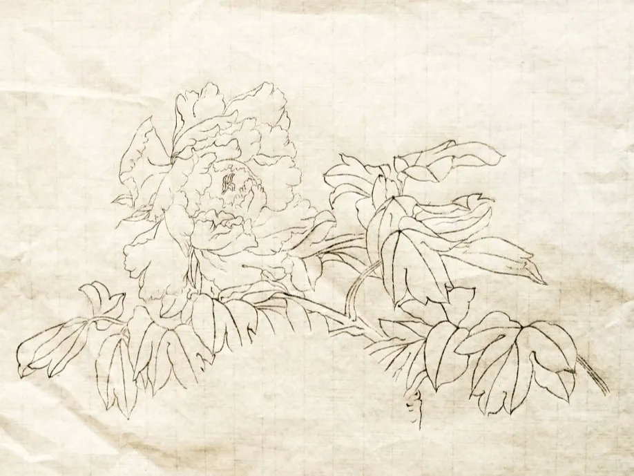 白描作品展——19网络美工