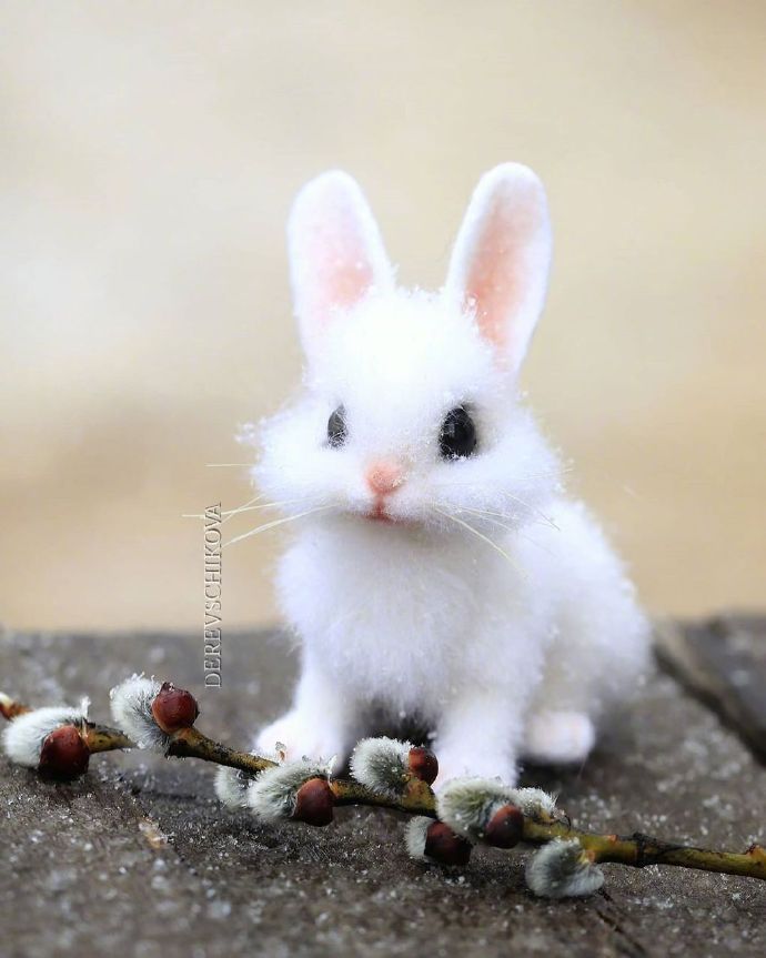 天呐这是我见过最可爱的羊毛毡小动物