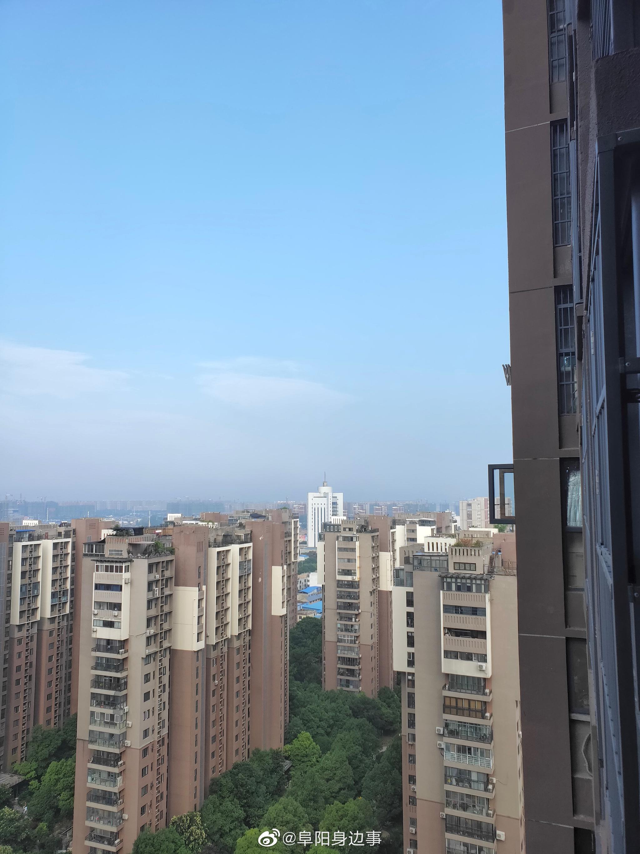 猫宁,今天窗外的大晴天 (扑面吹来高温的气息)