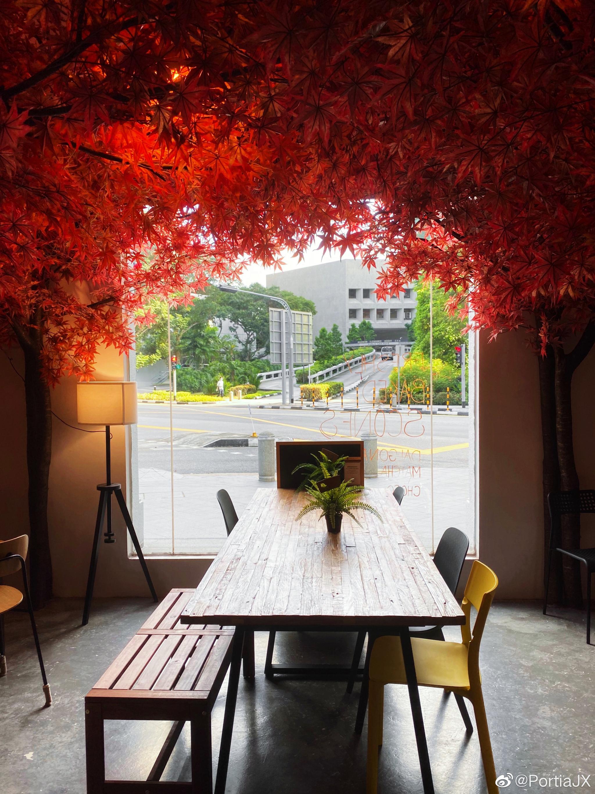 唯美的韩式咖啡馆,在赤道邂逅秋天