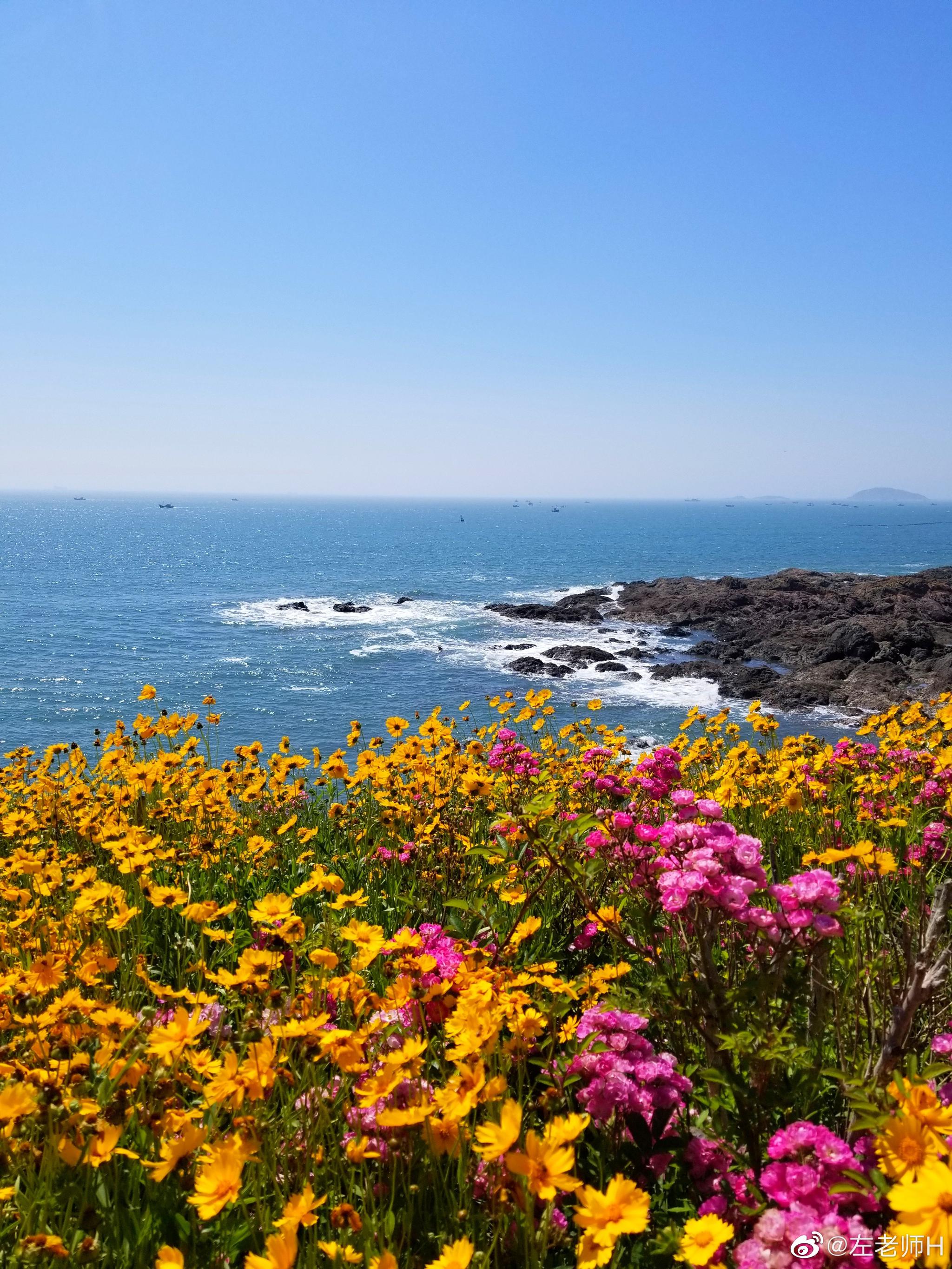 大美西海岸,带你去看山花烂漫,带你去看面朝大海……_高清图集_新浪网