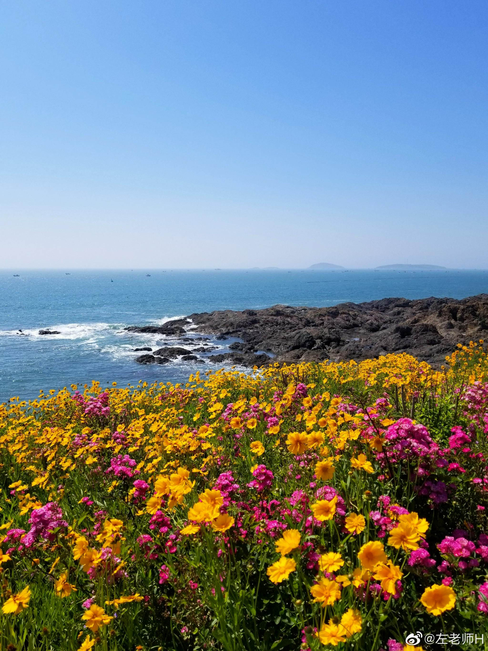 大美西海岸带你去看山花烂漫带你去看面朝大海