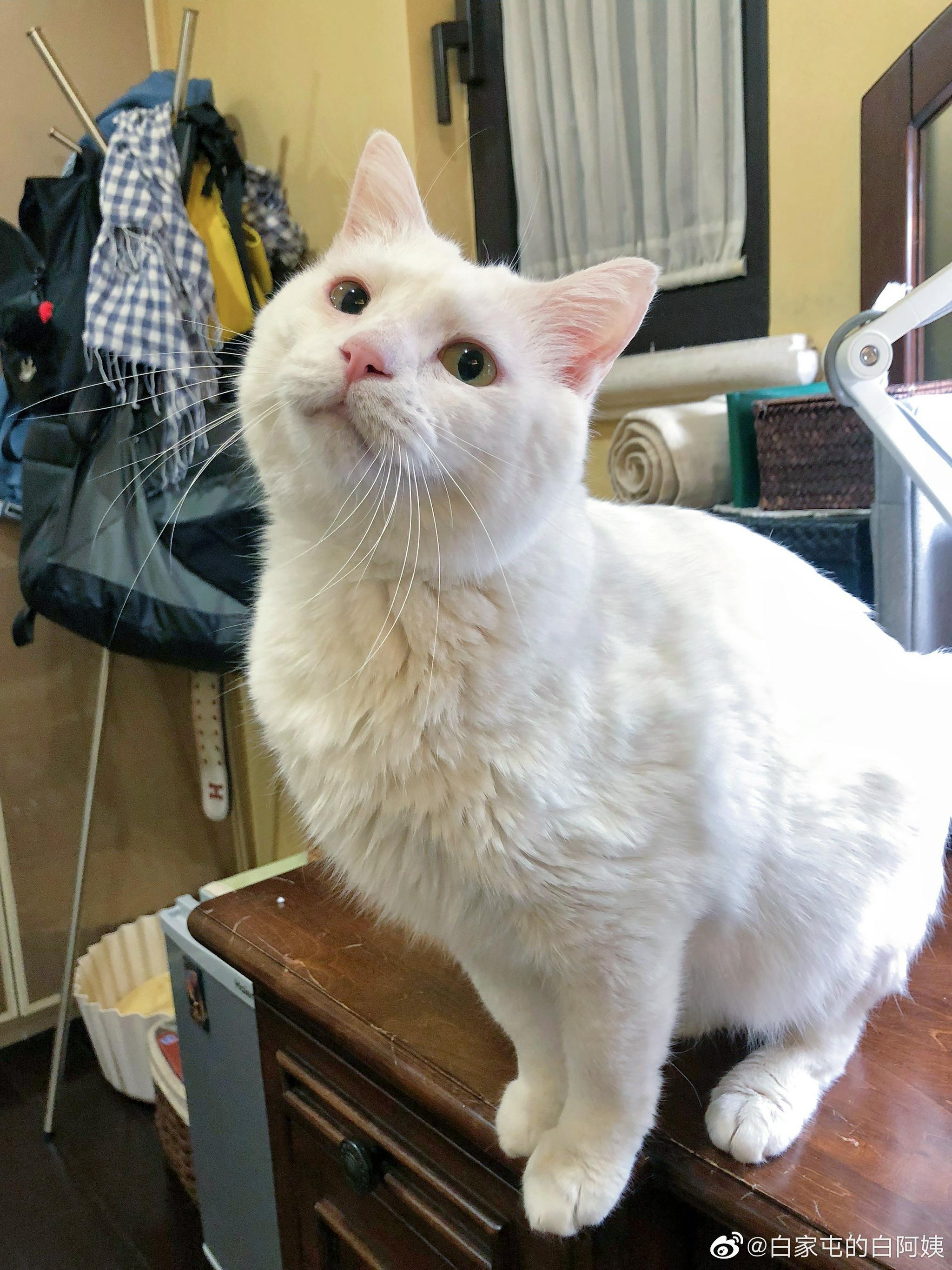 早早早！老铁最近睡眠不好，每天只能睡70来分，他说都怪赖赖吵……休闲区蓝鸢梦想 - Www.slyday.coM