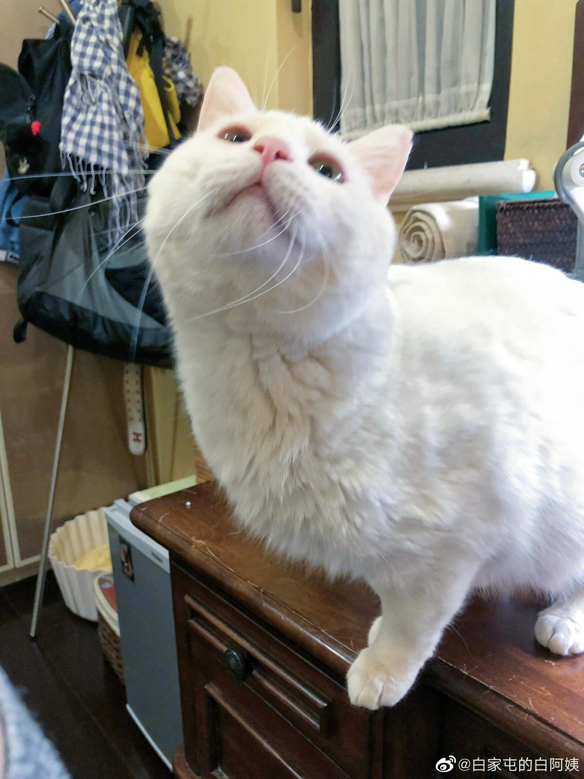 早早早！老铁最近睡眠不好，每天只能睡70来分，他说都怪赖赖吵……休闲区蓝鸢梦想 - Www.slyday.coM