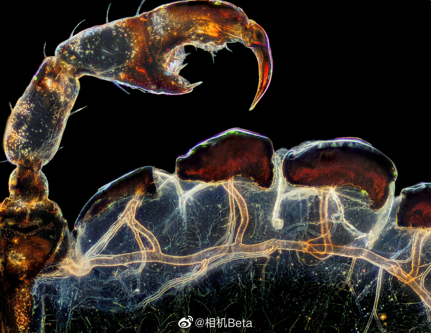 任何一个原子放大，里面都有一个星球，住着智慧生物，...