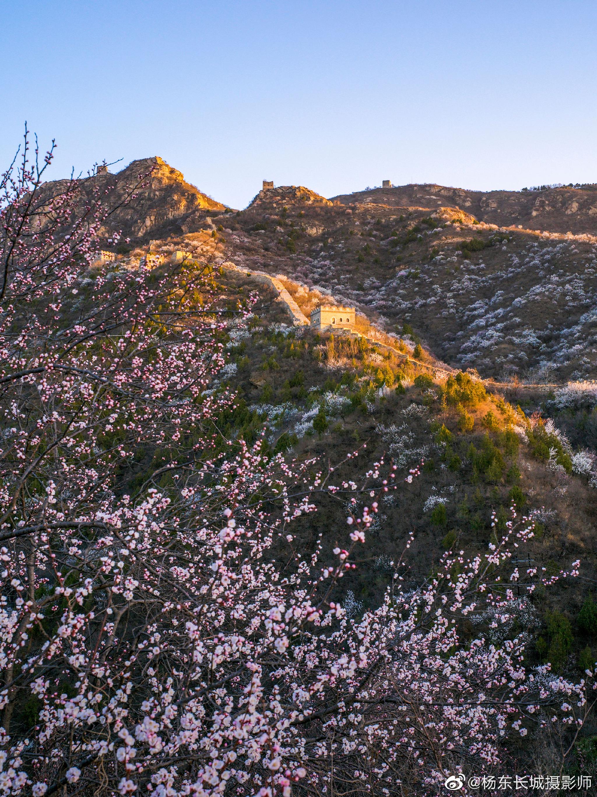 北京怀柔河防口长城日出晨光花海202341