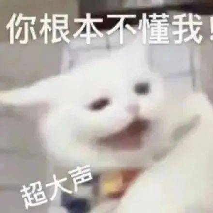 表情包 | 回家吧 别丢人了 拿图点赞、吱声__财经头条