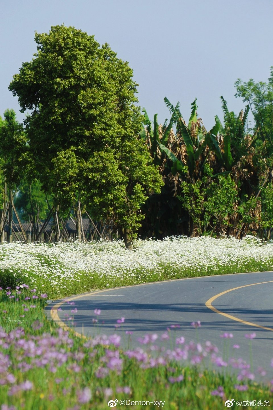 原来成都的锦城绿道不止可以做做运动还有治愈眼睛的风景