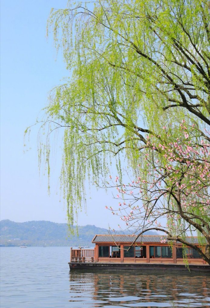 轻风迎面处,翠柳拂头时