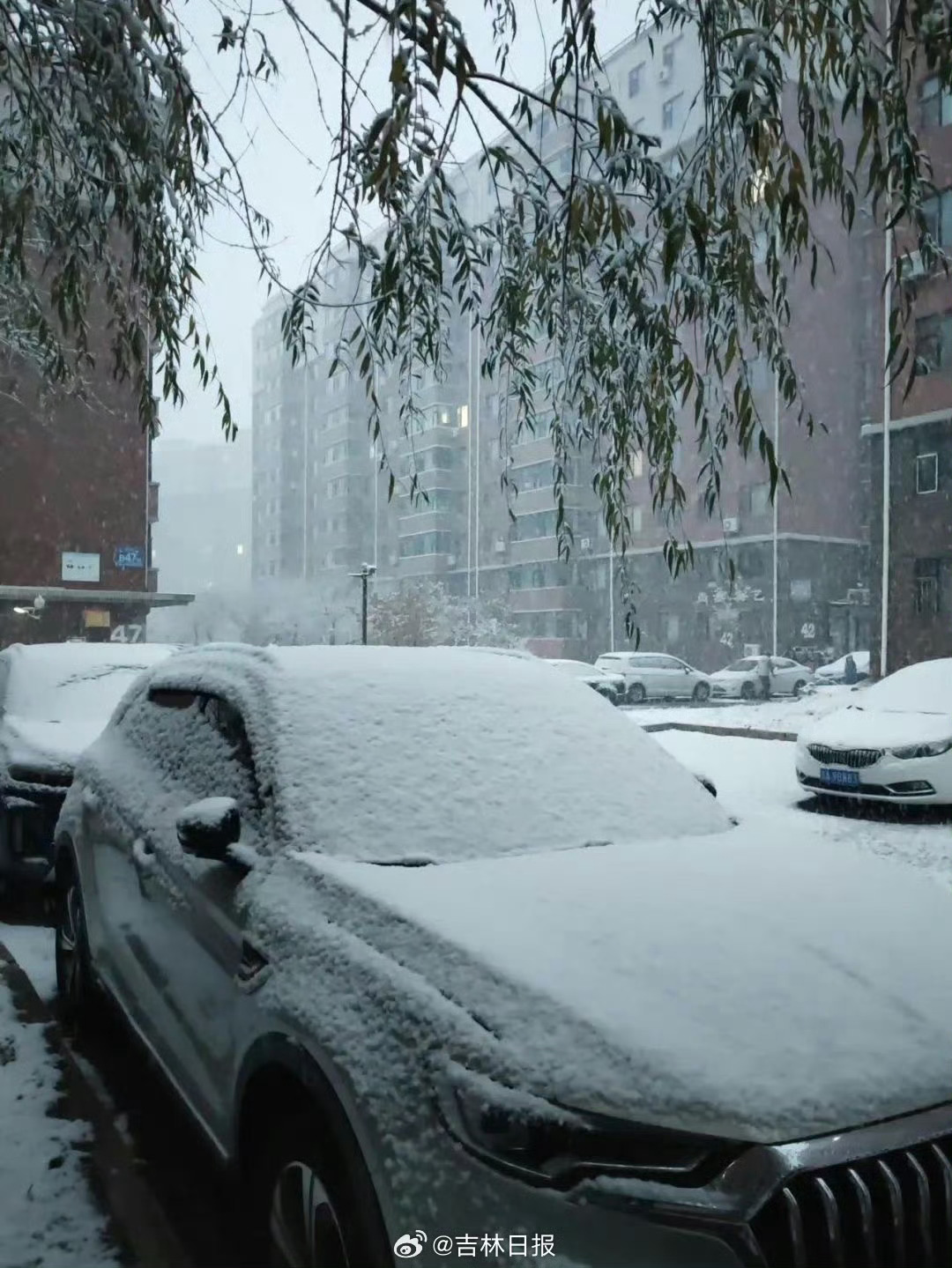 长春下雪图片图片