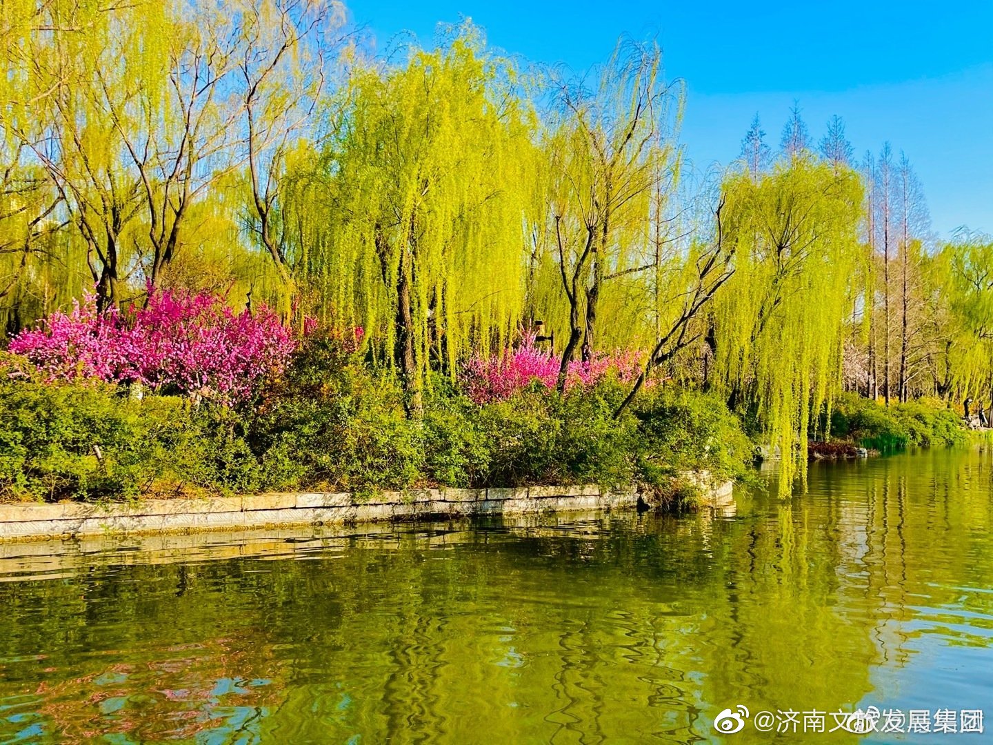 春天的,桃红柳绿,美不胜收.(摄影@马绍斌 )