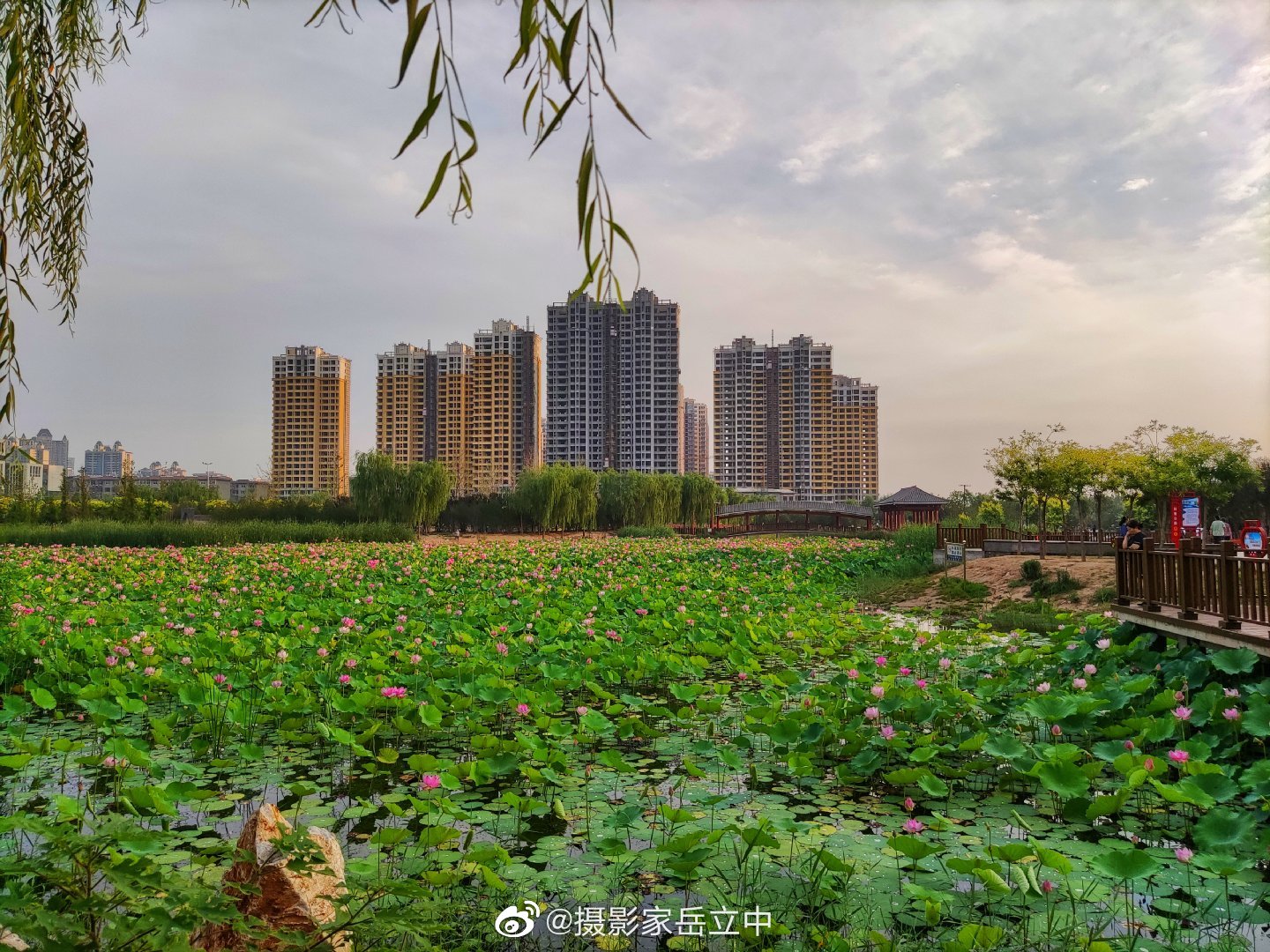 邢台襄都湖公园,位于邢台市襄都区襄都路与红星街交叉口西北角