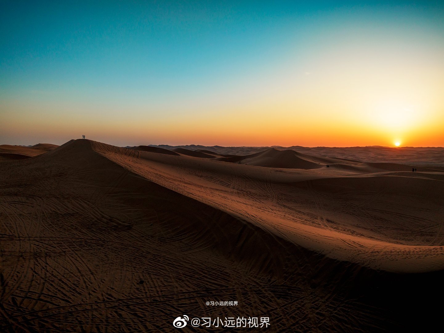 苍天般的阿拉善 生活无解， 就来这里撒野……__财经头条