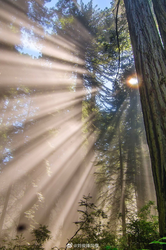 太美了,各种丁达尔效应之光.游记的路上最喜欢拍这种了.