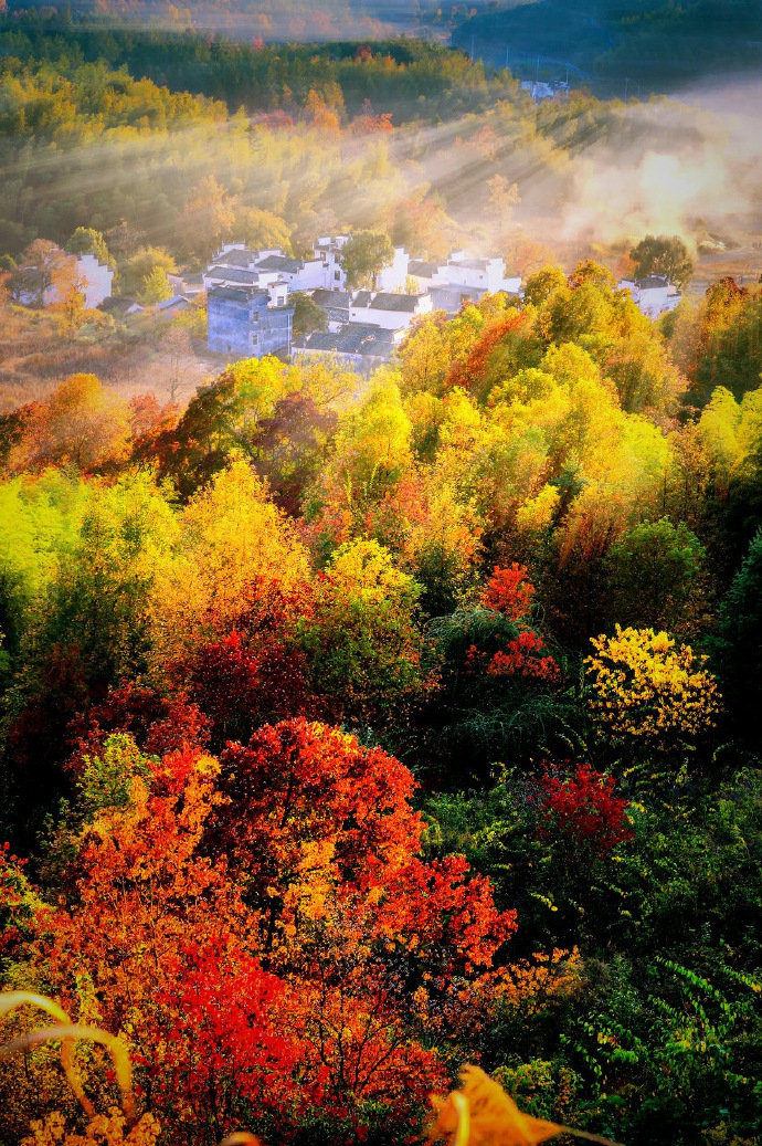 婺源县长溪村__财经头条