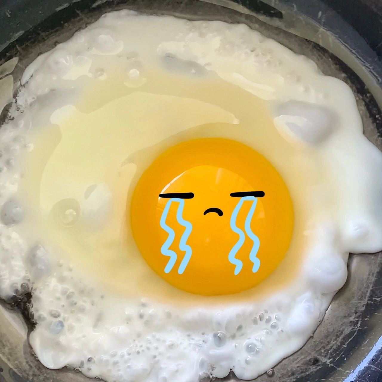 这组煎蛋头像真的好可爱!_高清图集_新浪网
