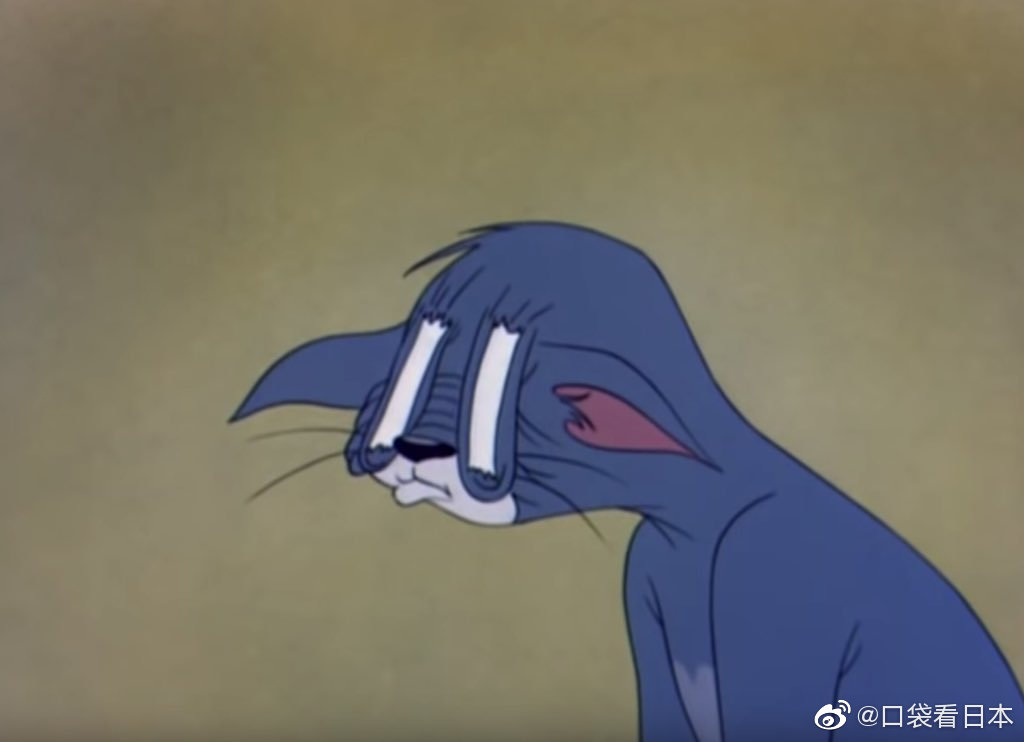 困困的汤姆猫是今天的我了图源见图1