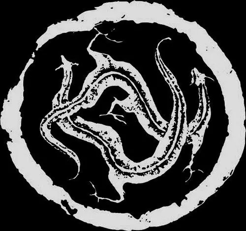 秦代的瓦当纹饰多种多样