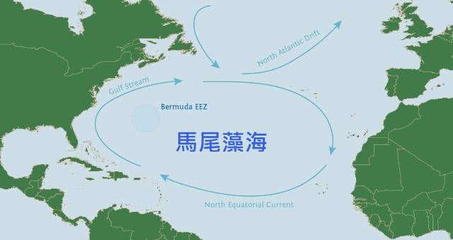 全球透明度最高的海|船只|马尾藻|浮游生物_新浪新闻