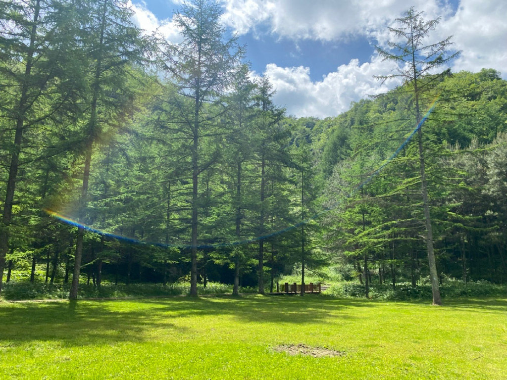 为什么夏天带娃露营吗广元曾家山鸳鸯池森林公园告诉你答案