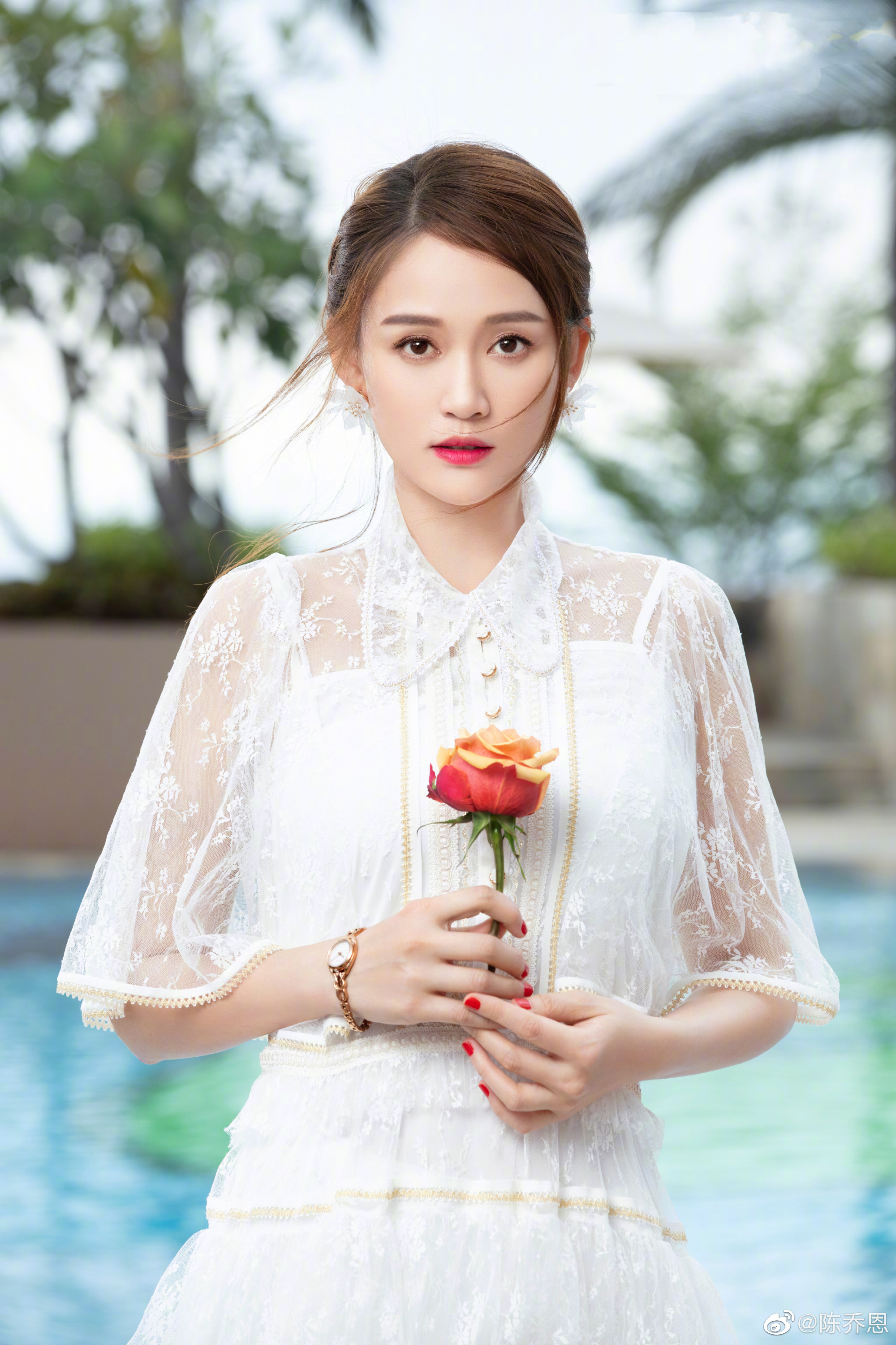 陈乔恩为金毛发声愤怒指责宠物托运公司漠视生命