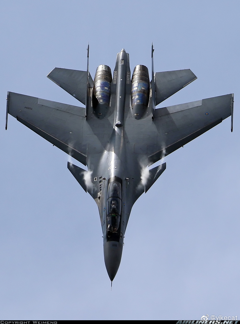 大马弯刀Су30МКМsu30mkm多用途歼击机