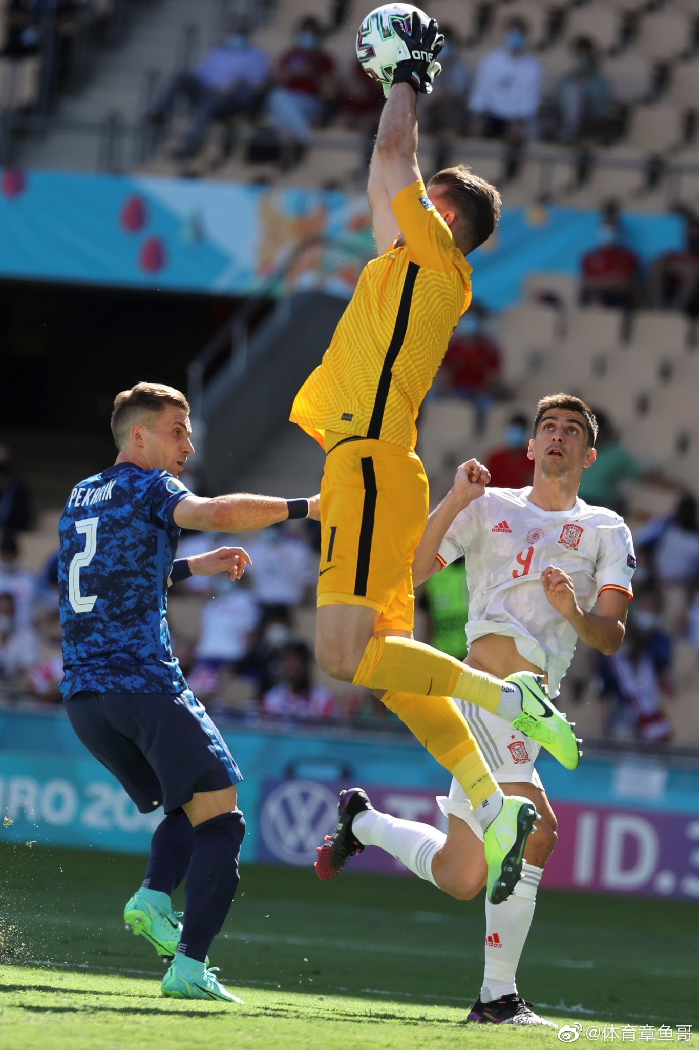 乌龙球再现江湖:斯洛伐克门将暴扣