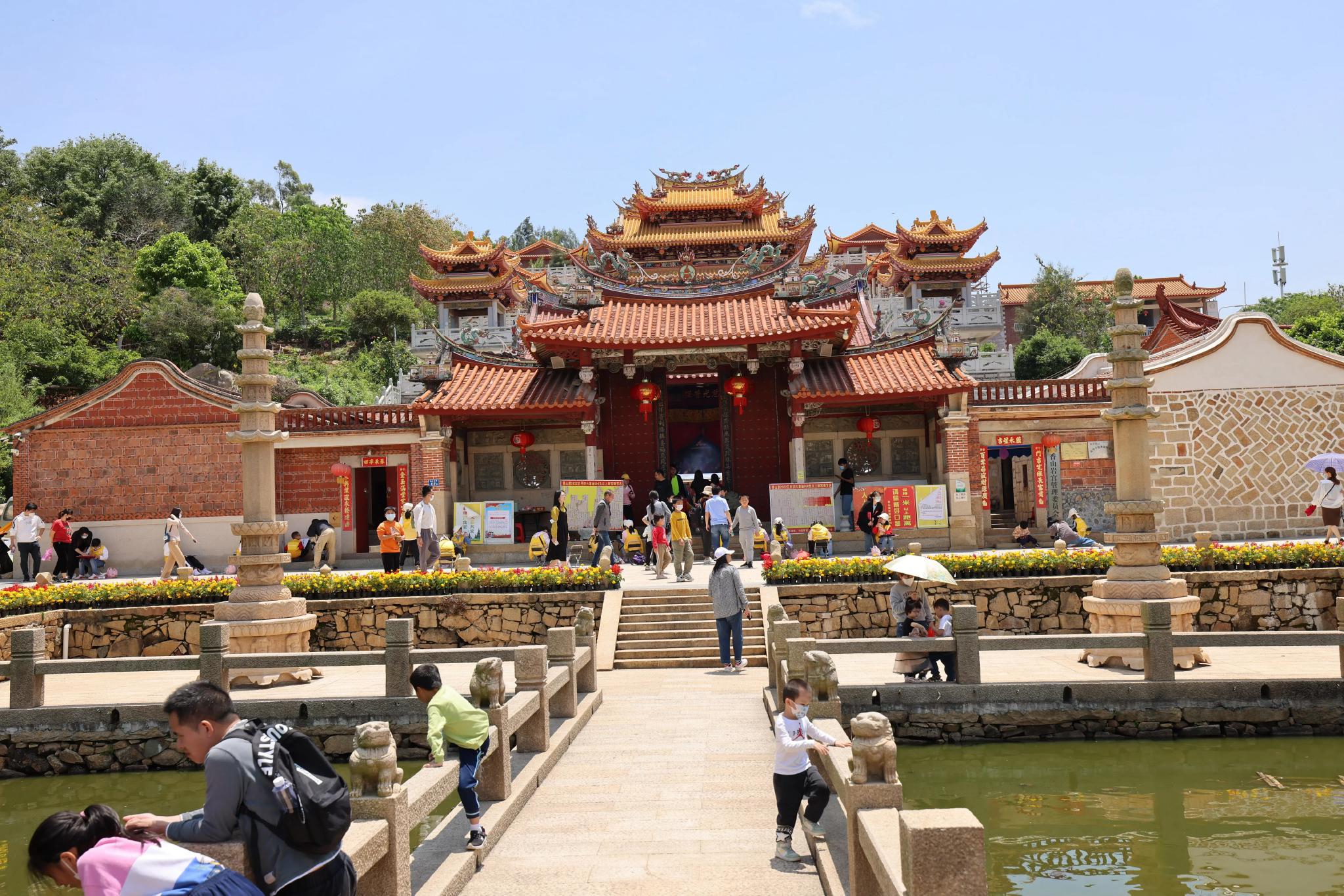 厦门香山公园花海~早啊