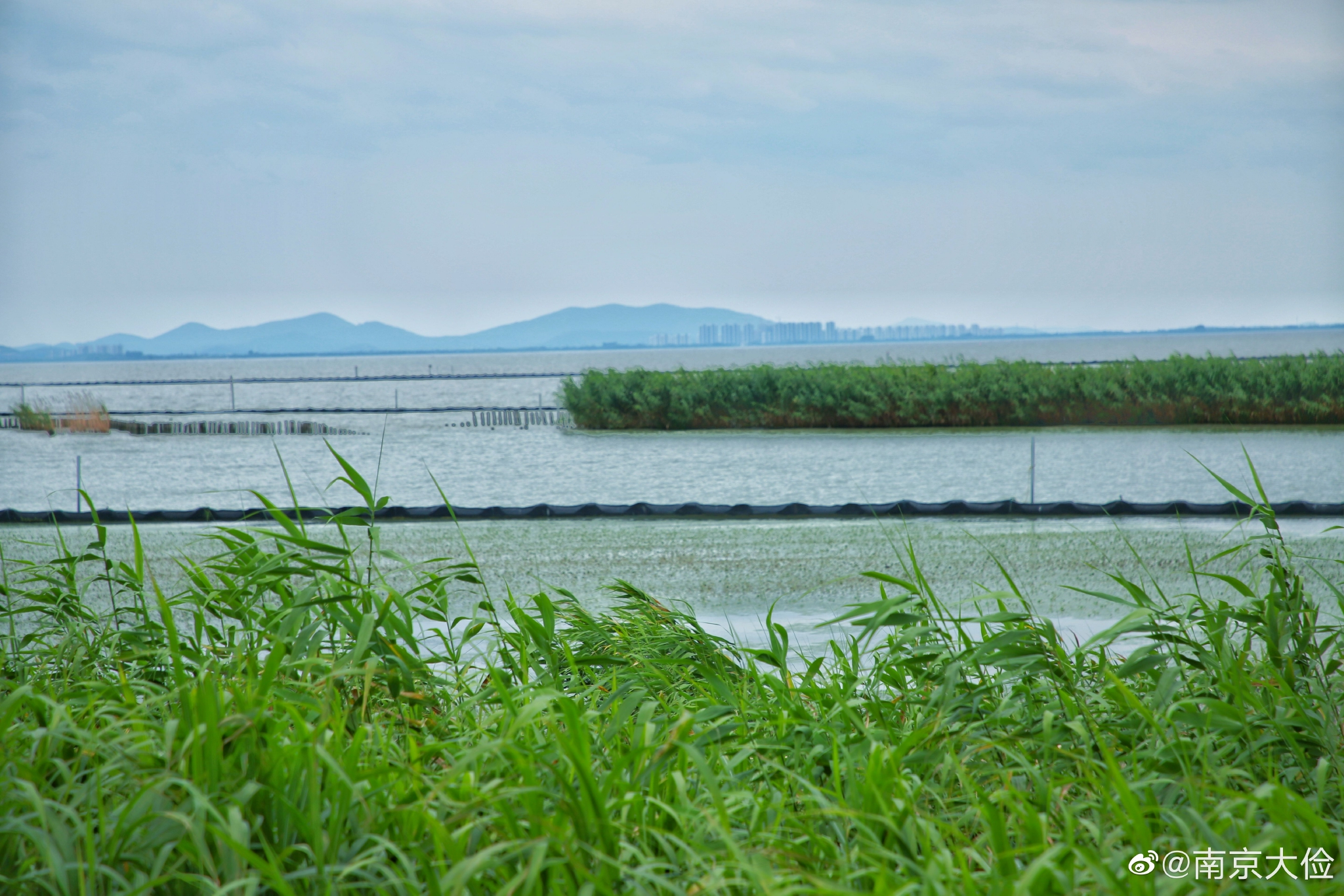 大溪港湿地公园位于太湖流域水域与陆地生态过渡带……__财经头条