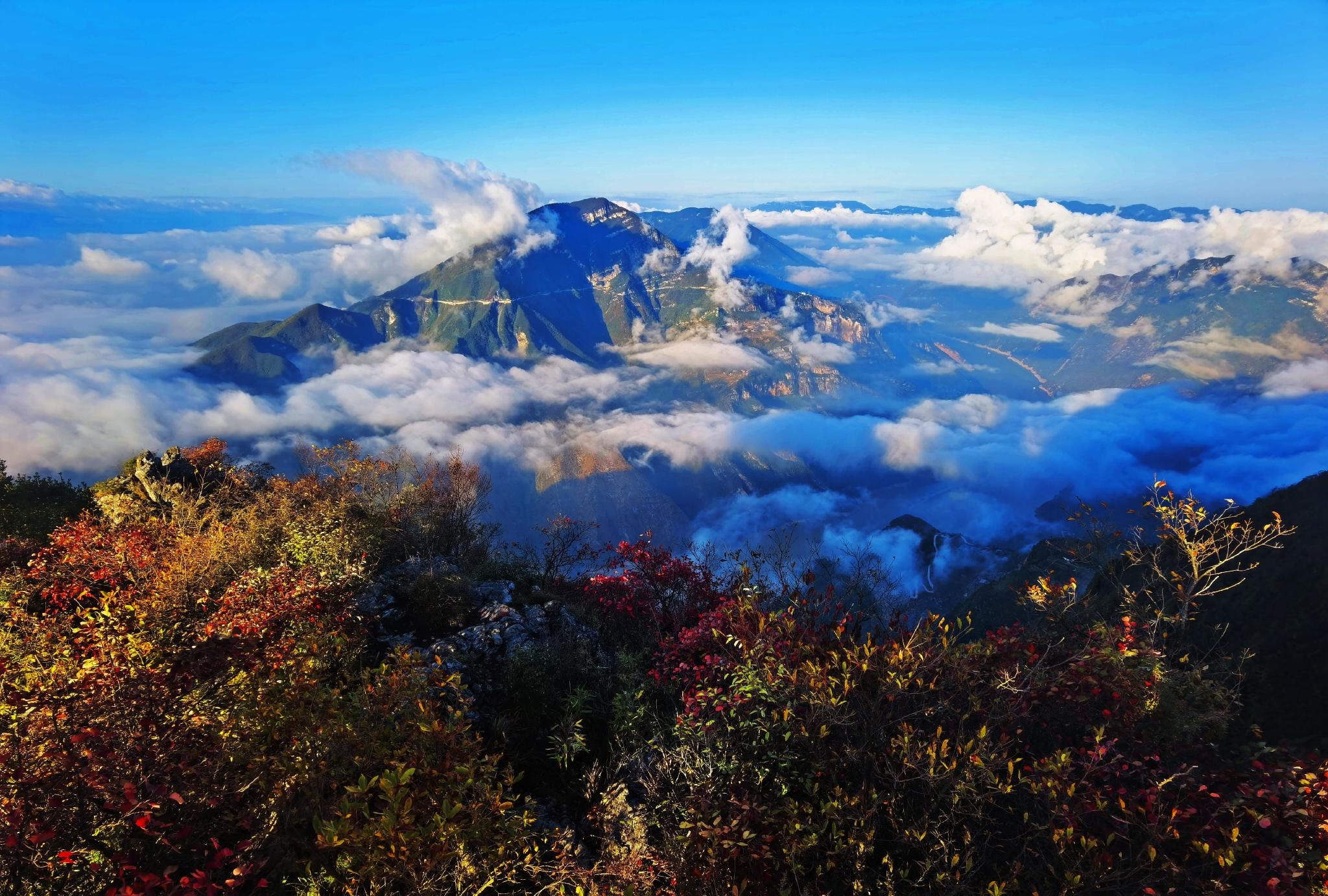 江山红叶美如画一一一长江上的最靓自然风光"三峡"!__财经头条