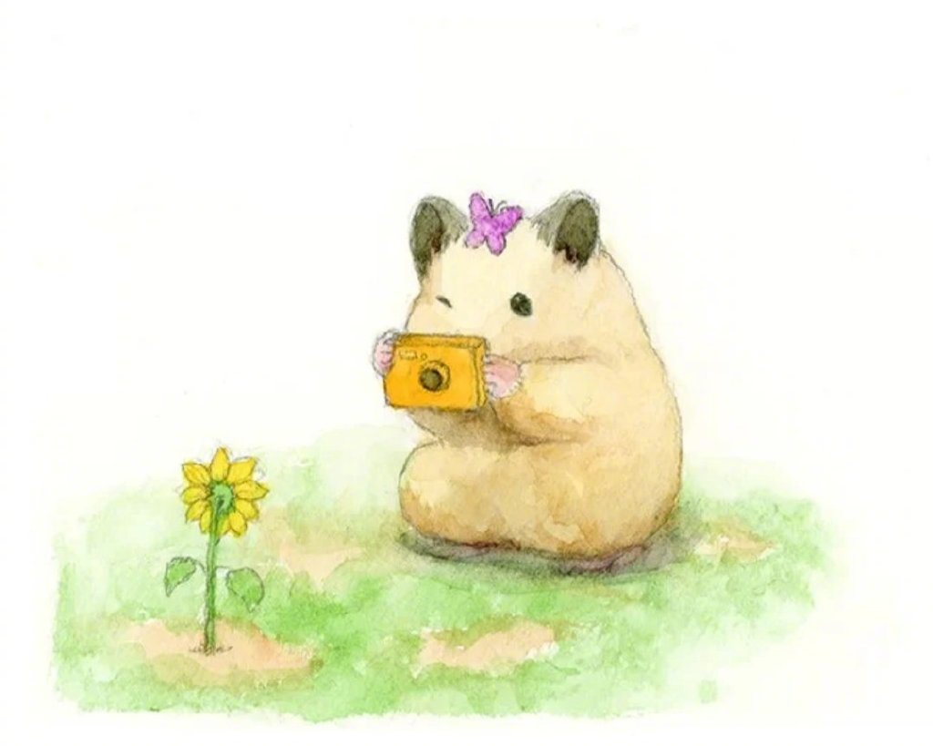 小仓鼠的可爱日常|gottehamham_高清图集_新浪网